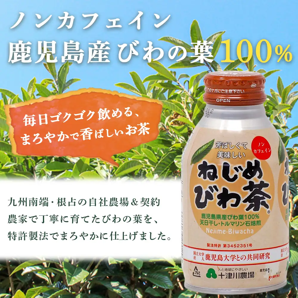 『ねじめびわ茶』ボトル缶【3ケース】（24本入り×3箱)鹿児島県産 ねじめびわ茶 ボトル缶 3ケース 24本入り×3ケース ノンカフェイン TO-408 | 国産 お茶 健康茶 ポリフェノール 無香料 無着色 さわやか 甘み 香ばしい おいしい びわの葉 トルマリン石焙煎 産地直送 鹿児島県 南大隅町 十津川農場）TO-408