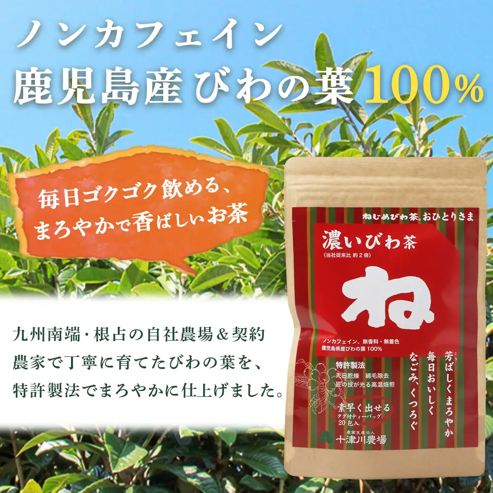 鹿児島県産 ねじめびわ茶「おひとりさま・濃いびわ茶」タグ付 ティーバック （20包入×3袋）ノンカフェイン TO-503-NP | 国産 お茶 健康 茶 カロリーゼロ 無香料 無着色 ポリフェノール さわやか 甘み 香ばしい おいしい トルマリン石焙煎 びわの葉 産地直送 鹿児島県 南大隅町 十津川農場