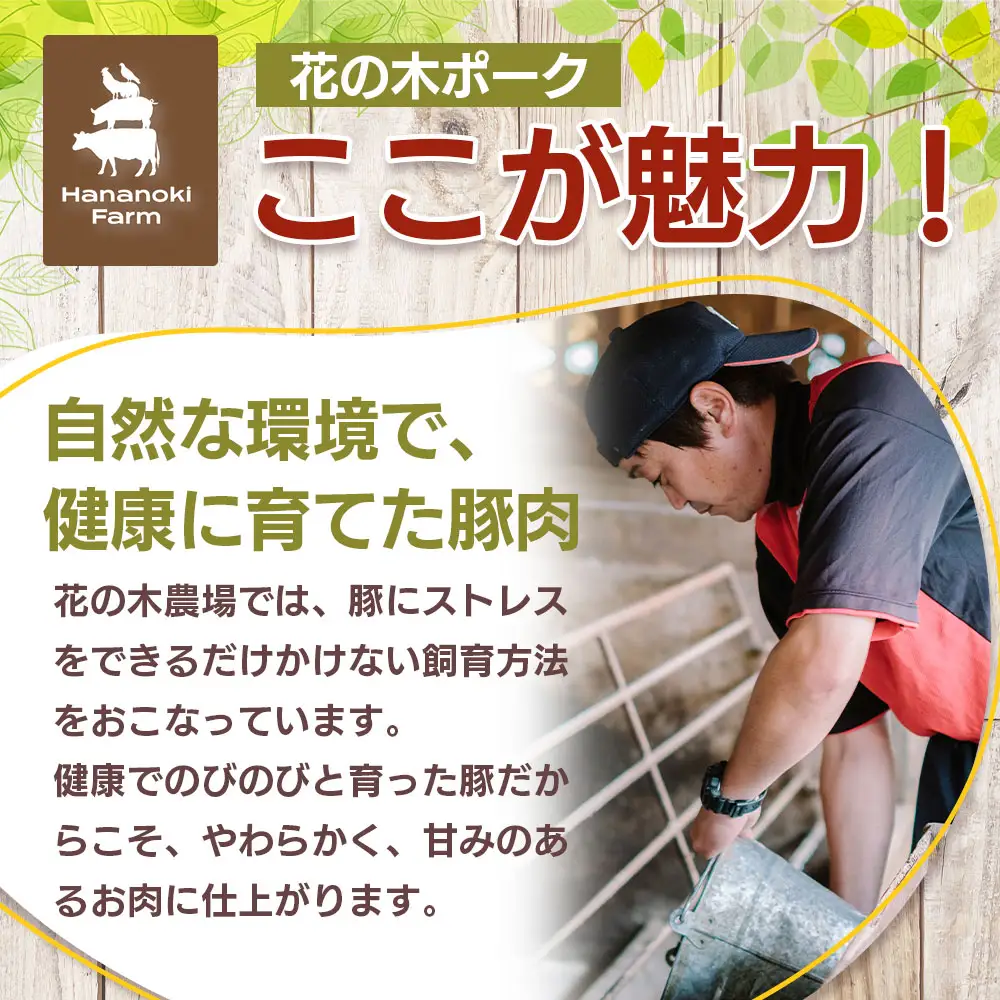 花の木農場【人気惣菜セット】３種 HK-504｜餃子 ぎょうざ ギョウザ ハンバーグ ハムコロッケ コロッケ 冷凍 工場直送 簡単調理 国産 厳選 お弁当 おかず 焼くだけ 揚げるだけ ノウフク 鹿児島県 南大隅町 第2花の木ファーム