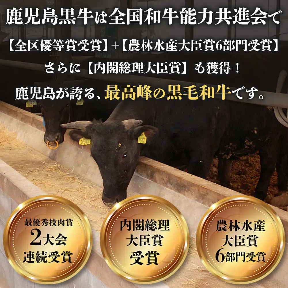 【鹿児島黒牛　5等級】すき焼き セット 2種600g W7502 | 最優秀技肉賞 内閣総理大臣賞 受賞 国産 国産牛 鹿児島県 牛肉 黒牛 黒毛和牛 和牛 鹿児島黒牛 肩ロース ウデ スライス 赤身 すきやき 贅沢 グルメ 冷凍 産地直送 南大隅町 JA鹿児島きもつき