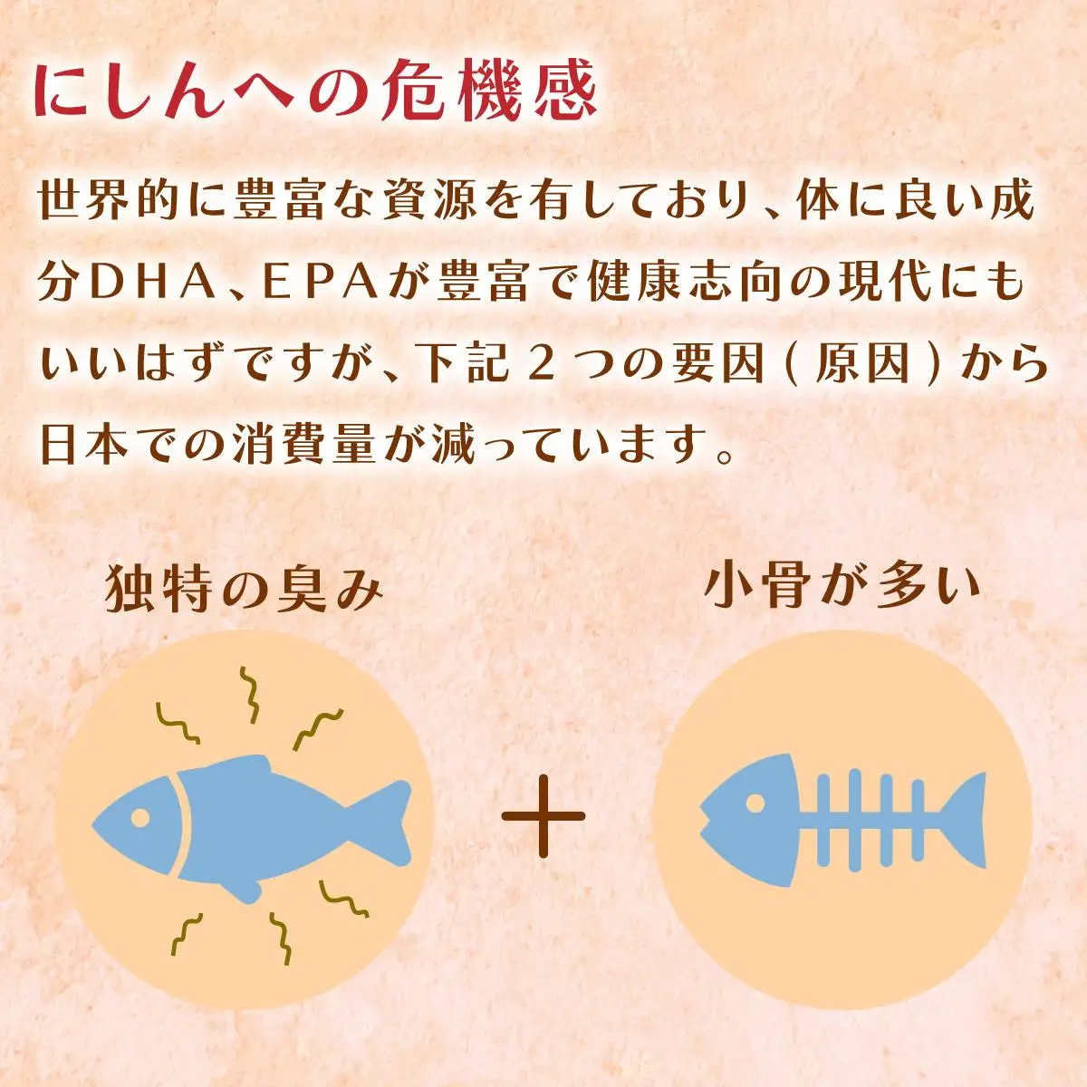 にしんのオイル漬け≪にしんすぱ≫2人前×6袋 F21H-438