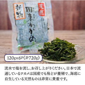 ＼テレビで紹介されました！／ 国東天然わかめ（湯通し塩蔵720g）_0078N