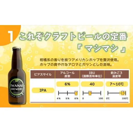 クラフトビール 飲み比べ3本セット F21H-473
