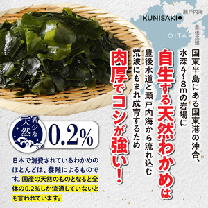 冷風乾燥が旨さの決め手！国東わかめ「乾燥糸造り」138g（23g×6袋）_0079N-2