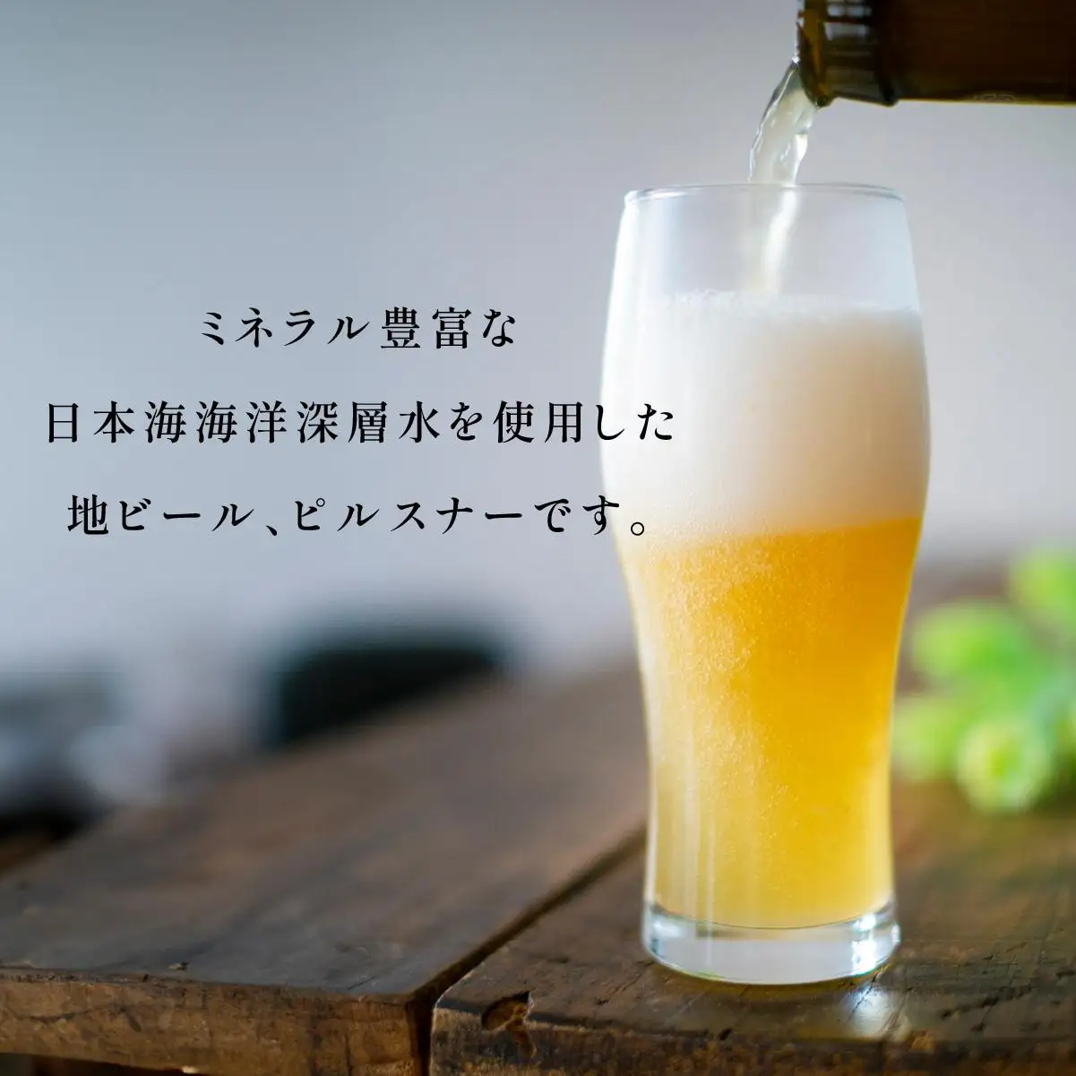 岩内地ビール＆倉島乳業チーズセット F21H-502