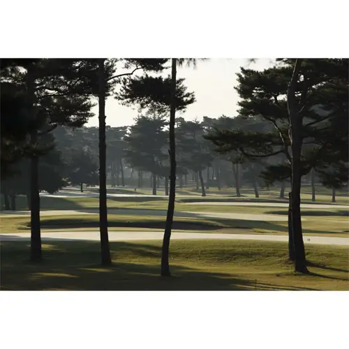 【会員限定】大利根カントリークラブ利用券＊15000円（利用券3000円×5枚） ／ ゴルフ golf GOLF ごるふ ゴルフ場 チケット ちけっと 体験 プレー券 利用券 ゴルフ場利用券 記憶に残るラウンド 最高のコースコンディション 最良のサービス 茨城県 No.159