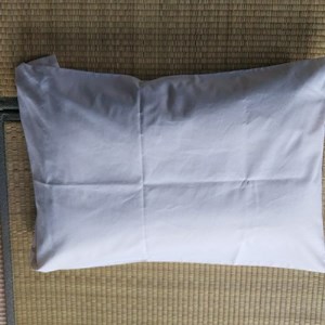 綿入れ枕(オーガニック枕カバー付き)1個※離島への配送不可