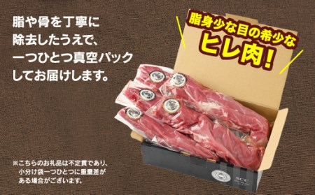 佐藤畜産の極選豚 ヒレ肉 2kg　※離島への配送不可