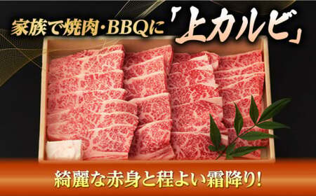 焼肉 上 カルビ 500g 長崎和牛 A4?A5ランク 【野中精肉店】 [VF09] 牛カルビ 焼肉用