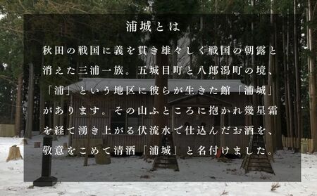 【生酒】純米吟醸無濾過原酒「青浦城 雪景色（にごり酒）」720ml×1本 お酒 日本酒 秋田 福禄寿酒造 地酒 ギフト プレゼント お祝い １合 
