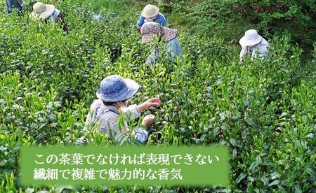 JAPANESE TEA SELECTION銅賞 備前屋 狭山茶 紫にほふ 蒸し製法 ゆめわかば 3パックセット お茶 緑茶 日本茶 茶葉 渋みのない グリーンティー フルーティーな香り 濃厚な味 煎茶 