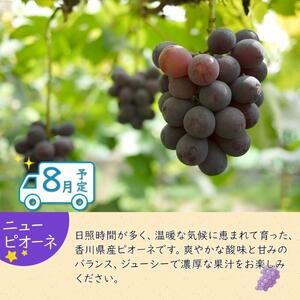 夏のいいとこどり定期便 【7月・8月・9月】全3回