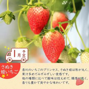 冬のいいとこどり定期便 【12月・1月・2月】全3回