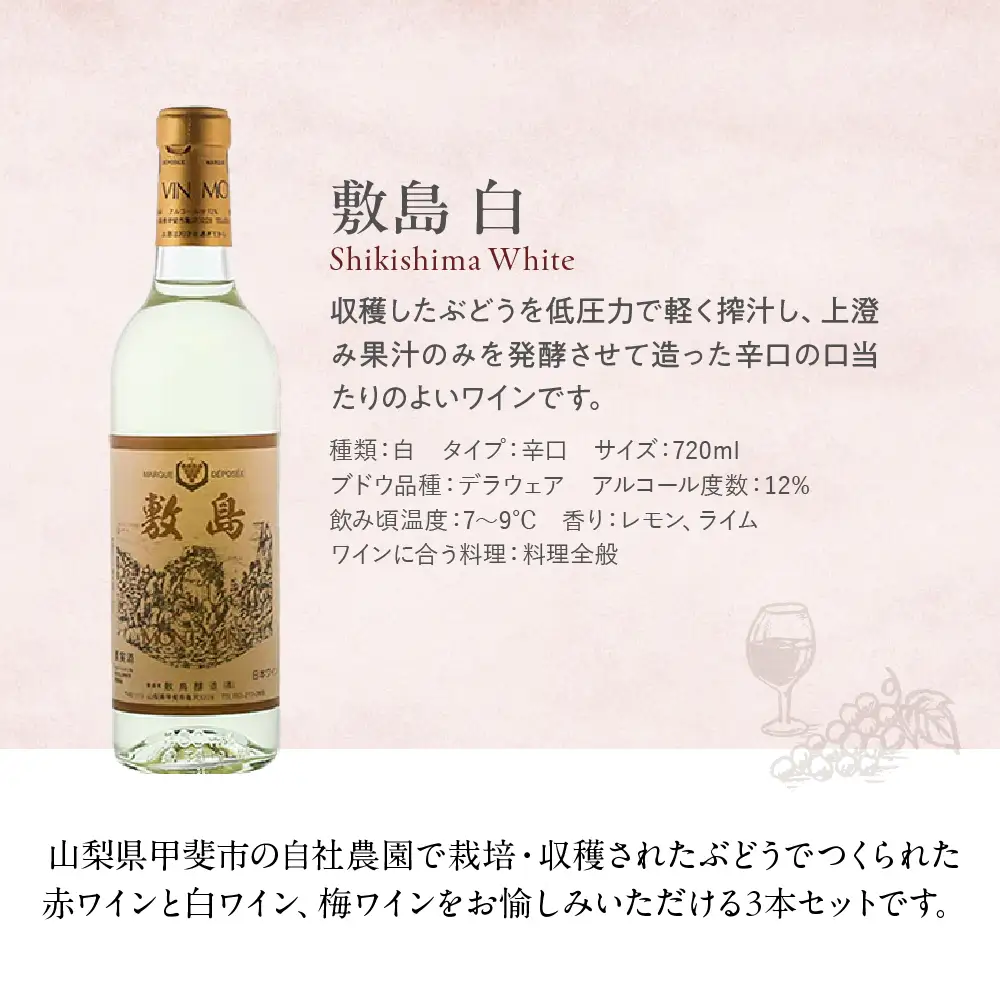 【敷島 赤 ＆ 敷島 白 & 甲州小梅ワイン】720ml × 3本 セット 敷島醸造 白ワイン 赤ワイン わいん 小梅ワイン 辛口 ワインセット 飲み比べ 日本ワイン 国産ワイン 甲州 山梨 甲斐市 F-3