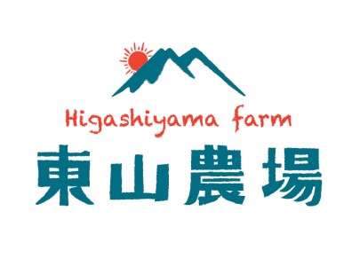 たっぷりお届け！北海道栗山町東山農場産キングメロン8kg