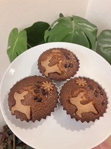 チョコとジンジャーケーキ8個入詰合せ＋お試し品2個 ※着日指定不可