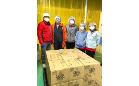 【詰替用大容量3袋×2】 衣料用洗剤 デオスタイル&柔軟剤 フラガンシア プリマローズの香り  洗剤 柔軟剤 衣類 