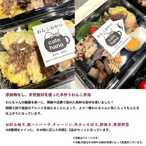 【定期便3回】わんこのお弁当セット Lサイズ