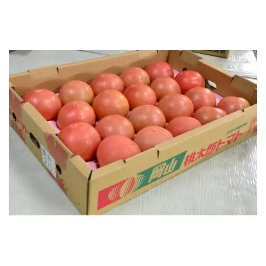 【定期便：7・8月発送】阿新産桃太郎トマト 1箱 約4kg 16～20玉 2か月連続お届け