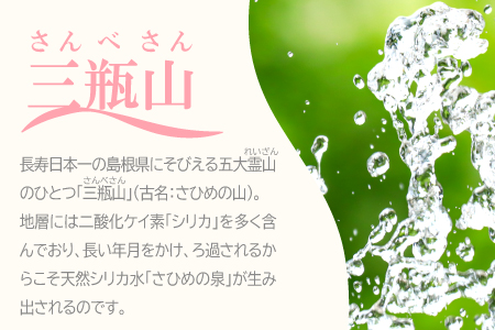 ナチュラルミネラルウォーター「さひめの泉」　500ml×24本【水・ミネラルウォーター 500ml ペットボトル シリカ水 ミネラルウォーター シリカ 軟水 水 天然水】