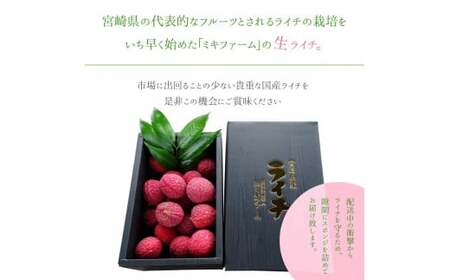 ＜宮崎県産ライチ1kg＞【c071_mk_x6】
