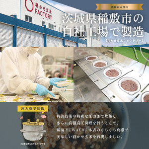 寝かせ玄米ごはんパック 4種ミックス 160g×48食 (小豆ブレンド／黒米ブレンド 各16食、もち麦ブレンド／十五穀ブレンド 各8食) [1615]