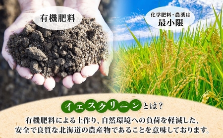 北海道 イエスクリーン米 令和7年産 ななつぼし 5kg 精米 米 白米 お米  ごはん ご飯 ライス 道産米 ブランド米 新しのつ米 ふっくら 食味ランキング  産地直送 カワサキ森田屋 送料無料 