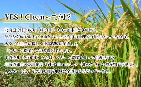 北海道 イエスクリーン米 令和7年産 ななつぼし 10kg 精米 米 白米 お米  ごはん ご飯 ライス 道産米 ブランド米 新しのつ米 ふっくら 食味ランキング  産地直送 カワサキ森田屋 送料無料