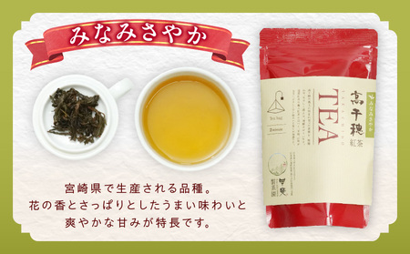 【和紅茶】高千穂紅茶（ティーパック）2種4袋セット 48包入 みなみさやか12包×2袋＆べにふうき12包×2袋 国産 紅茶 お茶 みなみさやか べにふうき 茶葉 ティーパック 和紅茶 飲み物 ティータイム さっぱり フルーティーな香り まろやか セット 宮崎県 高千穂町 _Tk025-003