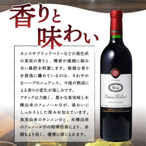 【定期便12回】　老舗ワイナリー　サドヤの ミュールシャトーブリヤン赤12回コース