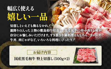 那須高原 敷島和牛特上切落し 1kg（500g×2）国産 黒毛和牛 切り落とし 国産牛 和牛 牛肉 お肉 肉 切り落し 小分け 冷凍 栃木県 那須町《敷島ファーム》〔C-57〕※着日指定不可 　※北海道・沖縄・離島への配送不可