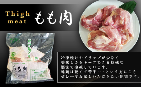 はかた地どり もも肉(約1kg) 《30日以内に出荷予定(土日祝除く)》