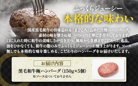 那須高原 敷島和牛手作りハンバーグ（150g×5個）計750g 小分け ハンバーグ 肉 お肉 牛肉 国産 黒毛和牛 冷凍 栃木県 那須町《敷島ファーム》〔B-82〕※着日指定不可　 ※北海道・沖縄・離島への配送不可
