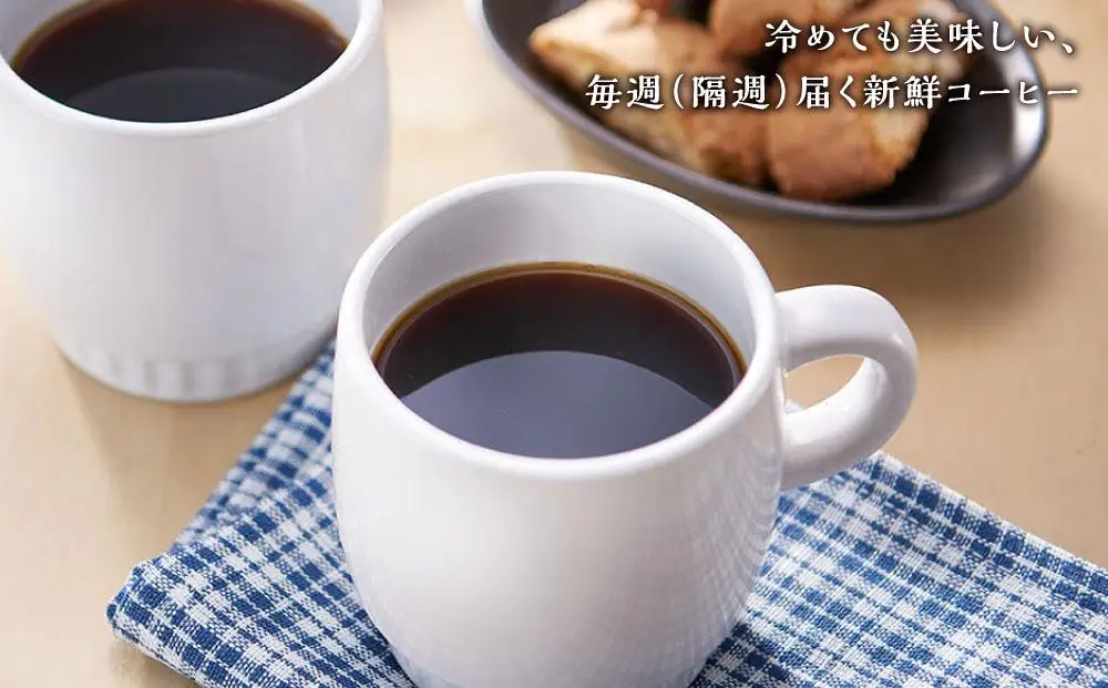 【定期便 全6回】【豆】屋久島の水で磨き、機械を使わずに焙煎するコーヒー豆 | 定期便