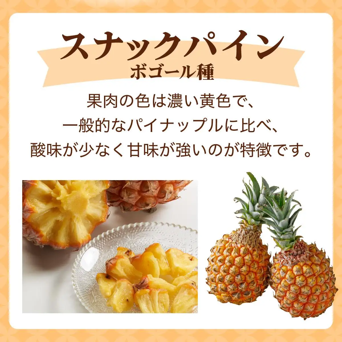 ＜先行予約＞ スナックパイン 4玉