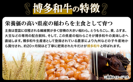 A4ランク 博多和牛 焼肉用 肩ロース肉 3パック(計約400g) 《30日以内に出荷予定(土日祝除く)》博多和牛  株式会社吉浦コーポレーション