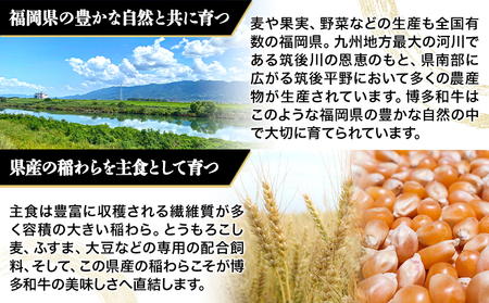 A4・A5等級のみ使用 博多和牛 シャトーブリアン 450g（150g×3枚）ヒレ 希少部位《30日以内に出荷予定(土日祝除く)》博多和牛 　肉の筑前屋　牛肉