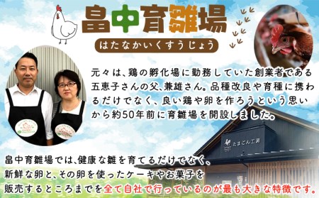 畠中育雛場のげんきタマゴん 30個 《30日以内に出荷予定(土日祝除く)》福岡県   卵  有限会社畠中育雛場