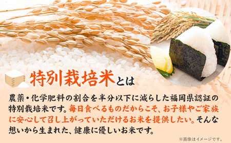 令和7年産 特別栽培米 獅子米（品種：夢つくし） 精米 4kg(2kg×2袋) 白米 精米 株式会社コモリファーム《30日以内に出荷予定(土日祝除く)》