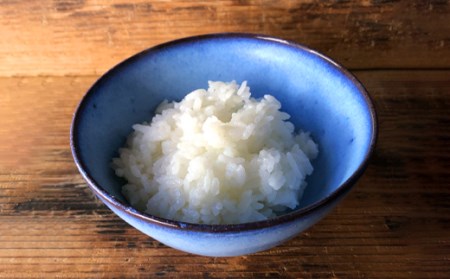 龍善ブルー ご飯茶碗  大サイズ 茶碗