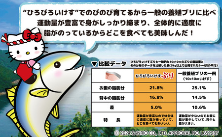 【先行予約】ひろびろいけす ぶり (フィレ・片身)1枚 ※2月発送 | ぶり 津久見市