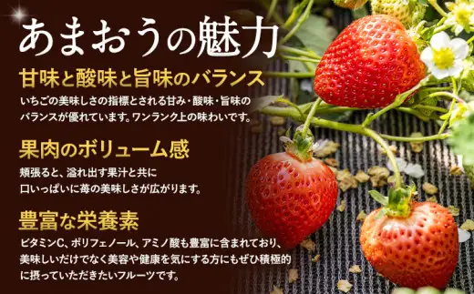 あまおう いちご  1620g あまおう いちご