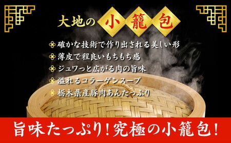 これが大地の小籠包です　計18個入り(1箱6個入り×3箱)
