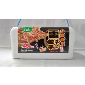 宇都宮発　雷オヤジの餃子　45個入(ギフト梱包/冷凍)　※離島への配送不可