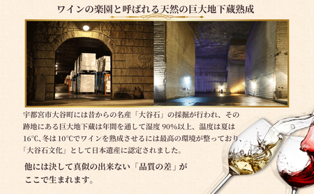 大谷の天然地下蔵で深みを増すワイン シャンパーニュ ブリュット トラディション 1本※配送不可地域：離島｜ワイン wine シャンパン ギフト 栃木県 宇都宮市 スパークリング シャンパン ワイン wine ギフト