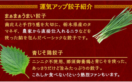 宇都宮餃子 運気アップ餃子  ニンニクマシマシ スタミナ餃子 90個 保存料不使用【冷凍餃子 ぎょうざ ギョウザ にんにく 冷凍食品 惣菜 栃木県 宇都宮市 】※配送不可地域：離島