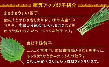 宇都宮餃子 運気アップ餃子  那須御養鶏の餃子 90個 保存料不使用【 餃子 ぎょうざ 冷凍餃子 冷凍食品 惣菜 栃木県 宇都宮市 】※配送不可地域：離島