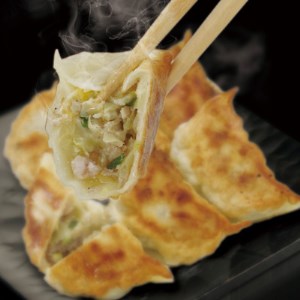 宇都宮餃子 寿限無 餃子のいろどりバラエティセット(6種12個) 　※離島への配送不可