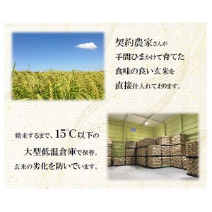 【令和7年産】栃木県産とちぎの星（精米）5kg×1袋 ｜ お米 白米 一等米 送料無料 栃木県 宇都宮市　※離島への配送不可
