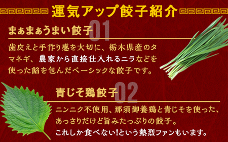 宇都宮餃子 運気アップ餃子 まあまあウマイ餃子 18個 保存料不使用【 餃子 ぎょうざ 冷凍餃子 冷凍食品 惣菜 栃木県 宇都宮市 】※配送不可地域：離島